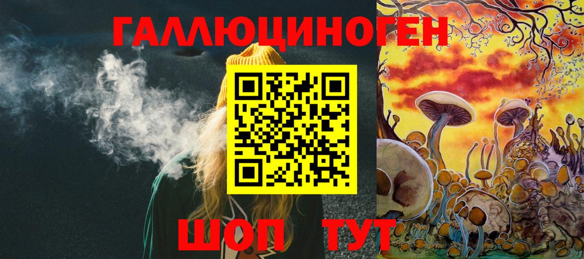 Псилоцибиновые грибы прущие грибы Апатиты
